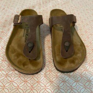 Gizeh - Habana Oiled Leather